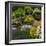 Rocks and plants in Rock Garden, Knowlton, Quebec, Canada-null-Framed Photographic Print