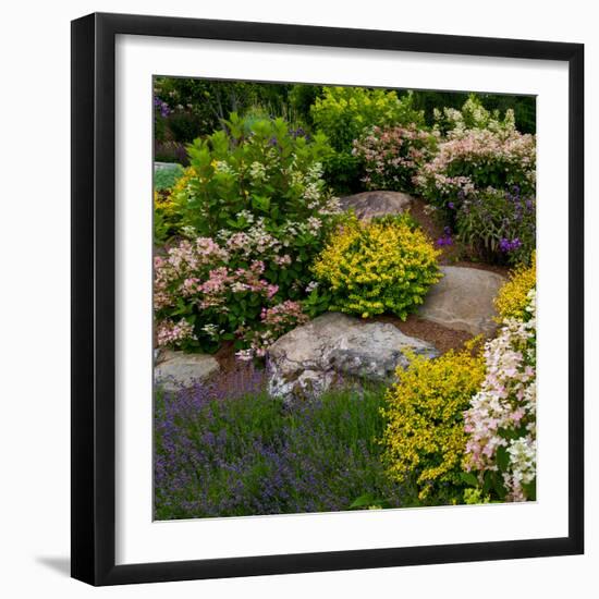 Rocks and plants in Rock Garden, Knowlton, Quebec, Canada-null-Framed Photographic Print