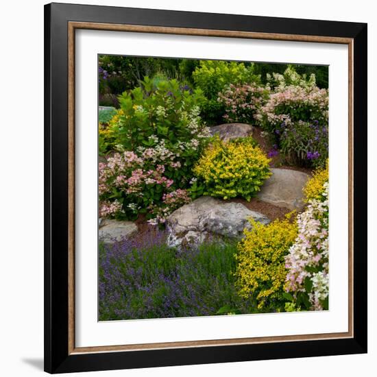 Rocks and plants in Rock Garden, Knowlton, Quebec, Canada-null-Framed Photographic Print