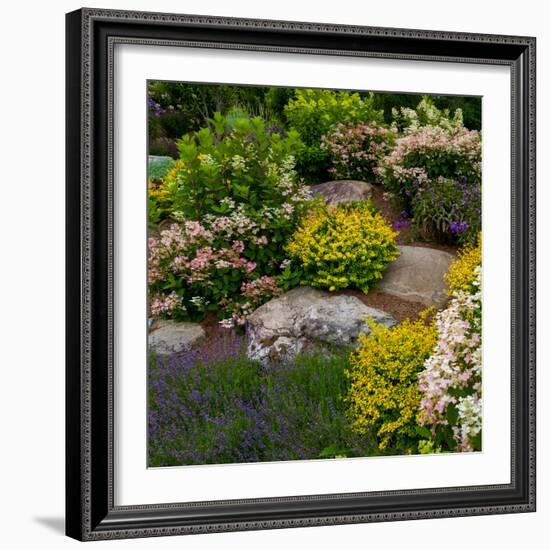 Rocks and plants in Rock Garden, Knowlton, Quebec, Canada-null-Framed Photographic Print