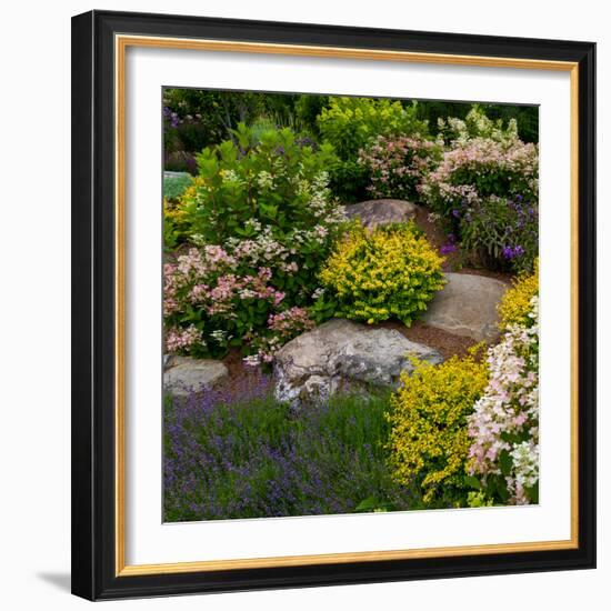 Rocks and plants in Rock Garden, Knowlton, Quebec, Canada-null-Framed Photographic Print