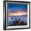 Rocks and Sea Stacks at Nugget Point Otago New Zealand, Sunrise-Travellinglight-Framed Photographic Print