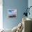 Rocks and Sea Stacks at Nugget Point, Otago, New Zealand-Travellinglight-Framed Premier Image Canvas displayed on a wall