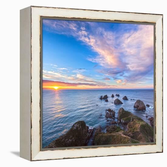 Rocks and Sea Stacks at Nugget Point, Otago, New Zealand-Travellinglight-Framed Premier Image Canvas