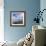 Rocks and Sea Stacks at Nugget Point, Otago, New Zealand-Travellinglight-Framed Photographic Print displayed on a wall