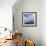 Rocks and Sea Stacks at Nugget Point, Otago, New Zealand-Travellinglight-Framed Photographic Print displayed on a wall