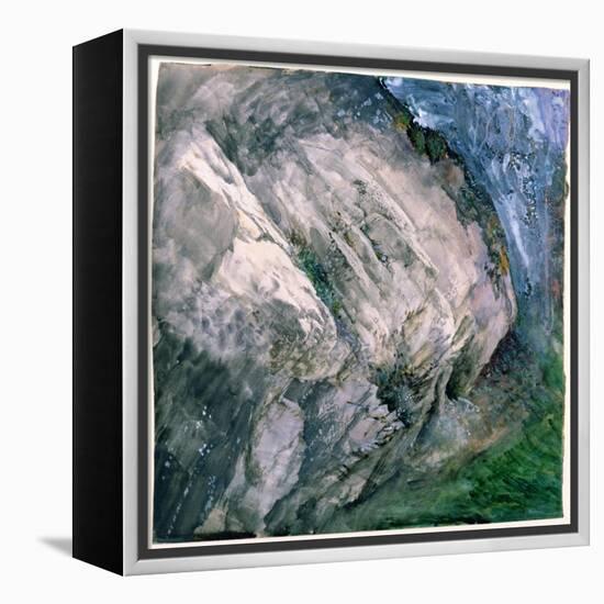 Rocks and Vegetation at Chamouni, 1854-John Ruskin-Framed Premier Image Canvas