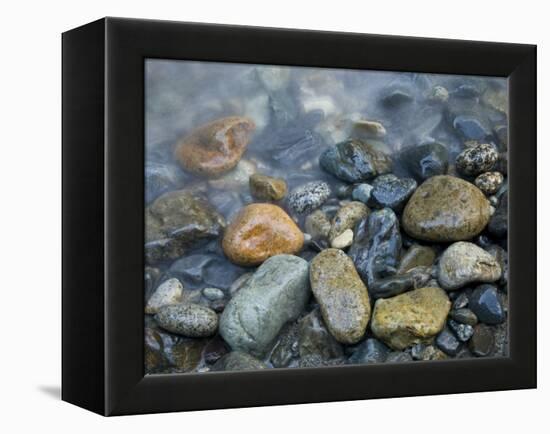 Rocks at edge of river, Eagle Falls, Snohomish County, Washington State, USA-Corey Hilz-Framed Premier Image Canvas