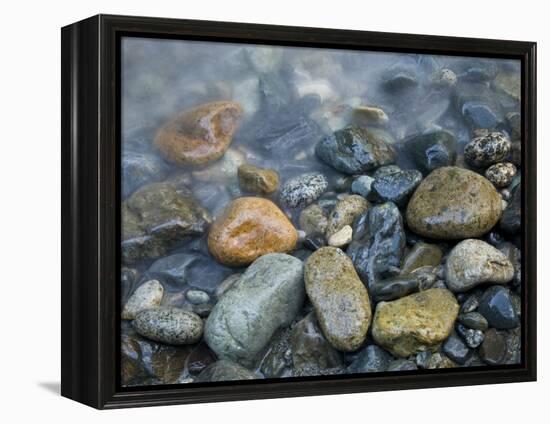 Rocks at edge of river, Eagle Falls, Snohomish County, Washington State, USA-Corey Hilz-Framed Premier Image Canvas