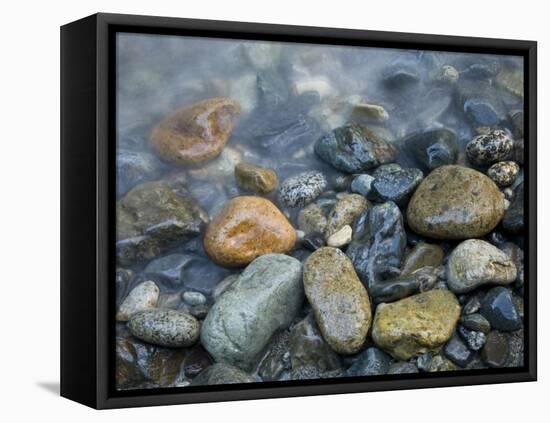 Rocks at edge of river, Eagle Falls, Snohomish County, Washington State, USA-Corey Hilz-Framed Premier Image Canvas