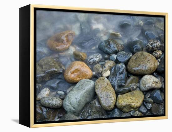 Rocks at edge of river, Eagle Falls, Snohomish County, Washington State, USA-Corey Hilz-Framed Premier Image Canvas