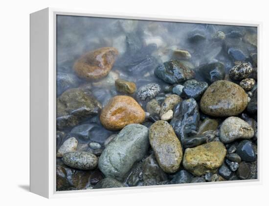 Rocks at edge of river, Eagle Falls, Snohomish County, Washington State, USA-Corey Hilz-Framed Premier Image Canvas