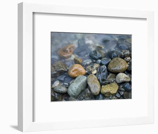 Rocks at edge of river, Eagle Falls, Snohomish County, Washington State, USA-Corey Hilz-Framed Photographic Print