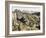 Rocks at L'Estaque-Paul Cézanne-Framed Art Print