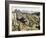 Rocks at L'Estaque-Paul Cézanne-Framed Art Print