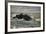 Rocks, by Riccardo Salvadori (1866-1927), Oil on Panel, 17, 8X31 Cm, Italy, 19th - 20th Century-null-Framed Giclee Print