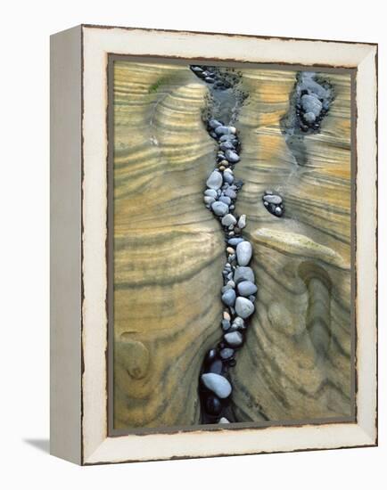 Rocks Caught in Sandstone Formations, Seal Rock Beach, Oregon, USA-Jaynes Gallery-Framed Premier Image Canvas