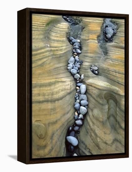 Rocks Caught in Sandstone Formations, Seal Rock Beach, Oregon, USA-Jaynes Gallery-Framed Premier Image Canvas