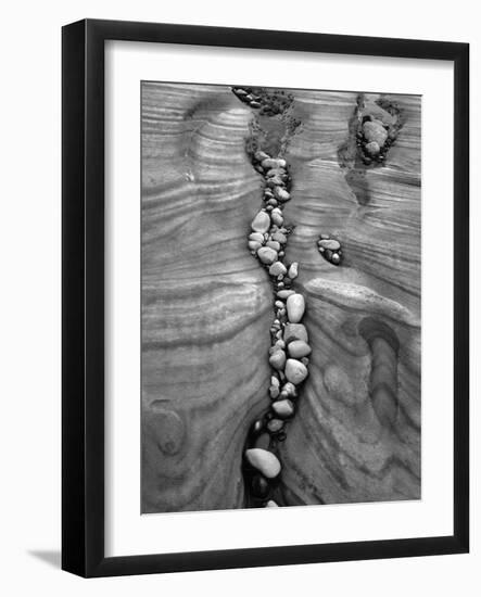 Rocks Caught in Sandstone Formations, Seal Rock Beach, Oregon, USA-Jaynes Gallery-Framed Photographic Print