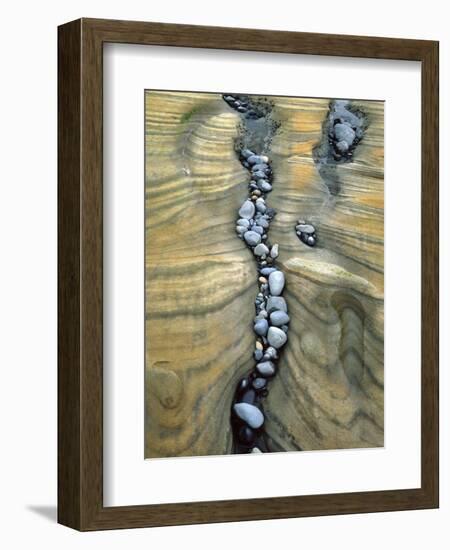 Rocks Caught in Sandstone Formations, Seal Rock Beach, Oregon, USA-Jaynes Gallery-Framed Premium Photographic Print