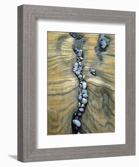 Rocks Caught in Sandstone Formations, Seal Rock Beach, Oregon, USA-Jaynes Gallery-Framed Photographic Print