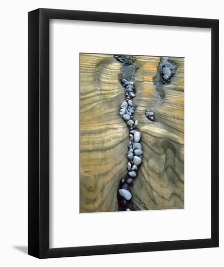 Rocks Caught in Sandstone Formations, Seal Rock Beach, Oregon, USA-Jaynes Gallery-Framed Photographic Print