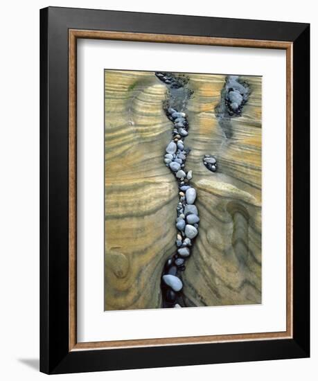 Rocks Caught in Sandstone Formations, Seal Rock Beach, Oregon, USA-Jaynes Gallery-Framed Photographic Print