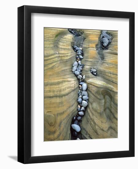 Rocks Caught in Sandstone Formations, Seal Rock Beach, Oregon, USA-Jaynes Gallery-Framed Photographic Print