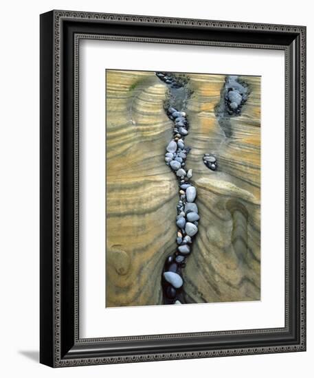 Rocks Caught in Sandstone Formations, Seal Rock Beach, Oregon, USA-Jaynes Gallery-Framed Photographic Print