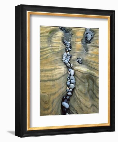 Rocks Caught in Sandstone Formations, Seal Rock Beach, Oregon, USA-Jaynes Gallery-Framed Photographic Print