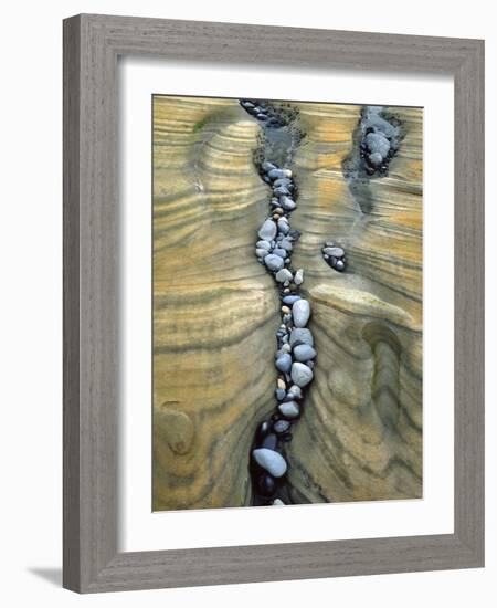 Rocks Caught in Sandstone Formations, Seal Rock Beach, Oregon, USA-Jaynes Gallery-Framed Photographic Print