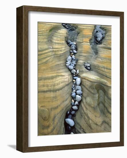 Rocks Caught in Sandstone Formations, Seal Rock Beach, Oregon, USA-Jaynes Gallery-Framed Photographic Print