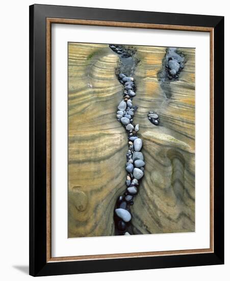 Rocks Caught in Sandstone Formations, Seal Rock Beach, Oregon, USA-Jaynes Gallery-Framed Photographic Print