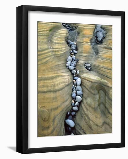 Rocks Caught in Sandstone Formations, Seal Rock Beach, Oregon, USA-Jaynes Gallery-Framed Photographic Print