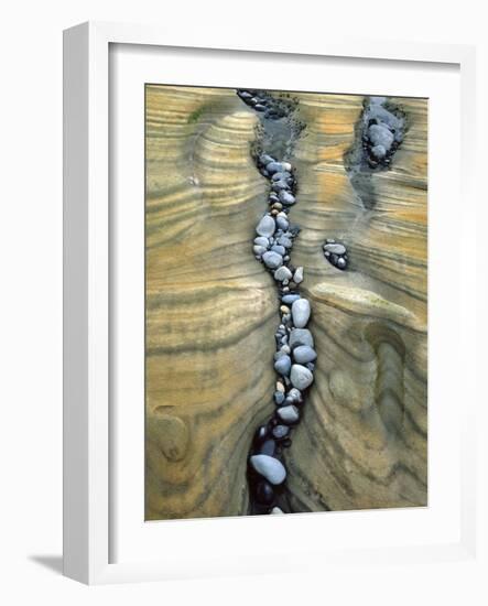 Rocks Caught in Sandstone Formations, Seal Rock Beach, Oregon, USA-Jaynes Gallery-Framed Photographic Print