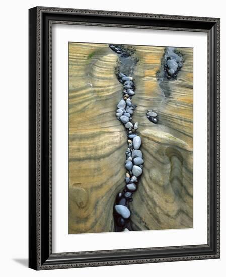 Rocks Caught in Sandstone Formations, Seal Rock Beach, Oregon, USA-Jaynes Gallery-Framed Photographic Print