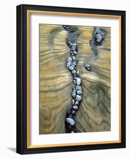 Rocks Caught in Sandstone Formations, Seal Rock Beach, Oregon, USA-Jaynes Gallery-Framed Photographic Print