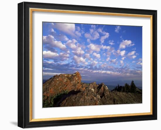 Rocks Covered with Lichen, Deer Park, Olympic National Park, Washington State, USA-Aaron McCoy-Framed Photographic Print