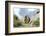 Rocks, Groundhog, Marmot-Reiner Bernhardt-Framed Photographic Print