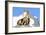 Rocks, Groundhog, Marmot-Reiner Bernhardt-Framed Photographic Print