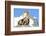 Rocks, Groundhog, Marmot-Reiner Bernhardt-Framed Photographic Print