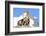 Rocks, Groundhog, Marmot-Reiner Bernhardt-Framed Photographic Print