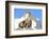 Rocks, Groundhog, Marmot-Reiner Bernhardt-Framed Photographic Print