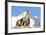 Rocks, Groundhog, Marmot-Reiner Bernhardt-Framed Photographic Print