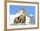 Rocks, Groundhog, Marmot-Reiner Bernhardt-Framed Photographic Print