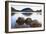 Rocks in a Lake, Acadia Nat L Park, Maine-George Oze-Framed Photographic Print