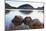 Rocks in a Lake, Acadia Nat L Park, Maine-George Oze-Mounted Photographic Print
