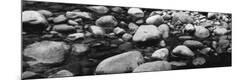 Photographic Print