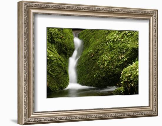 Rocks, Moss, Brook Nature, Moss-Grows Over, Forest Brook, Forest, Rock, Mossy, Water, Habitat-Ronald Wittek-Framed Photographic Print