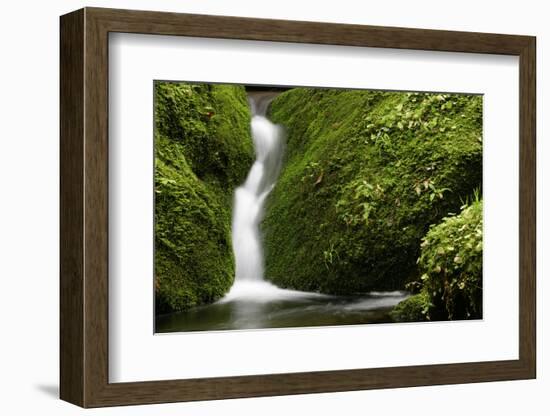 Rocks, Moss, Brook Nature, Moss-Grows Over, Forest Brook, Forest, Rock, Mossy, Water, Habitat-Ronald Wittek-Framed Photographic Print